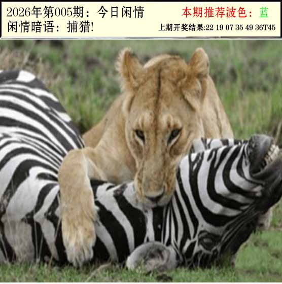 005期今日闲情2[图]