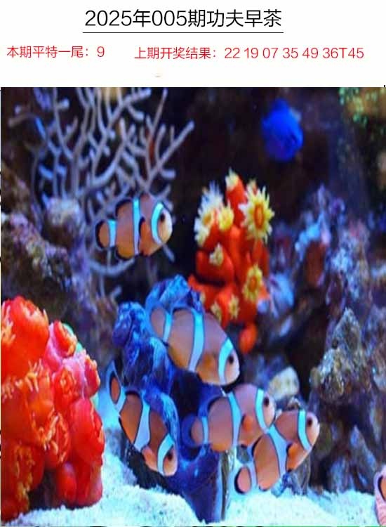 005期功夫早茶[图]