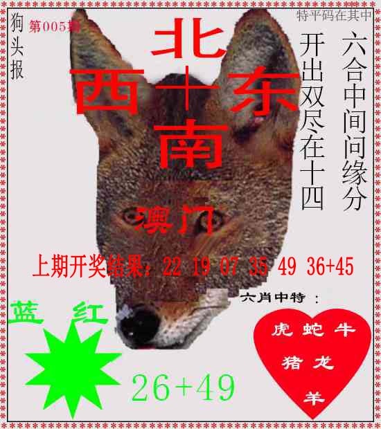 005期狗头报[图]