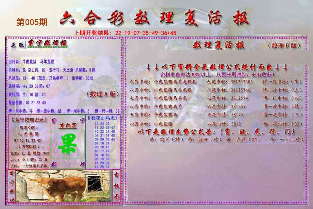 005期数理复活报[图]