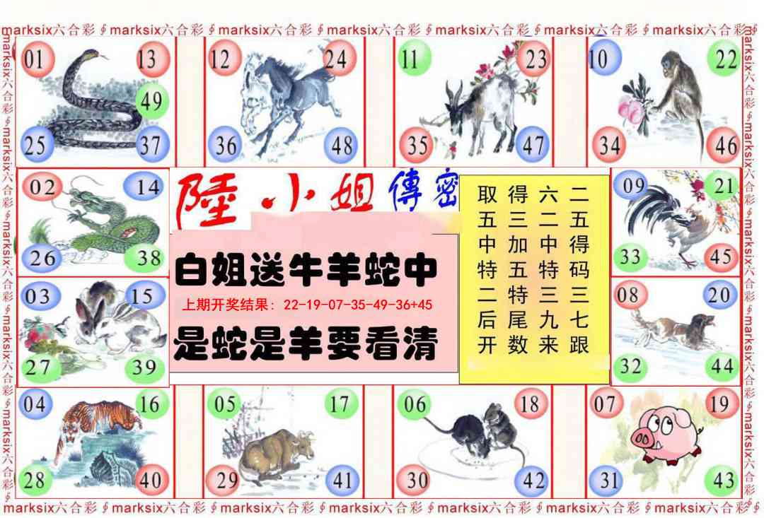 005期陆小姐传密B[图]