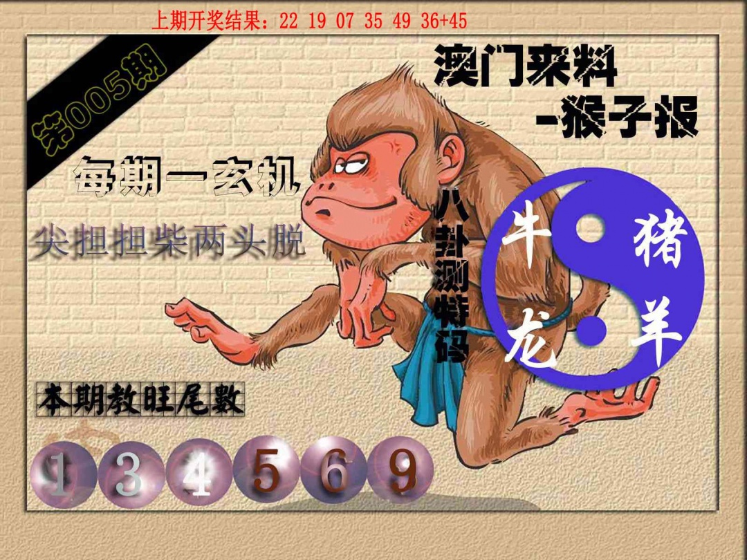 005期(来料)猴报[图]