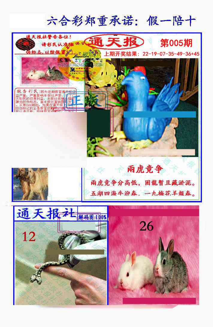 005期假一陪十通天报[图]