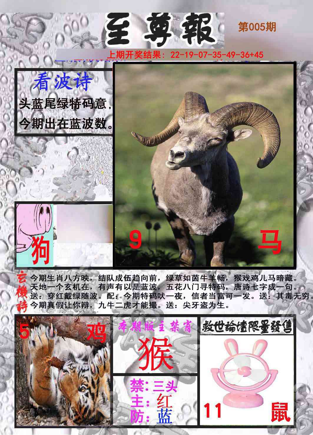 005期至尊报[图]