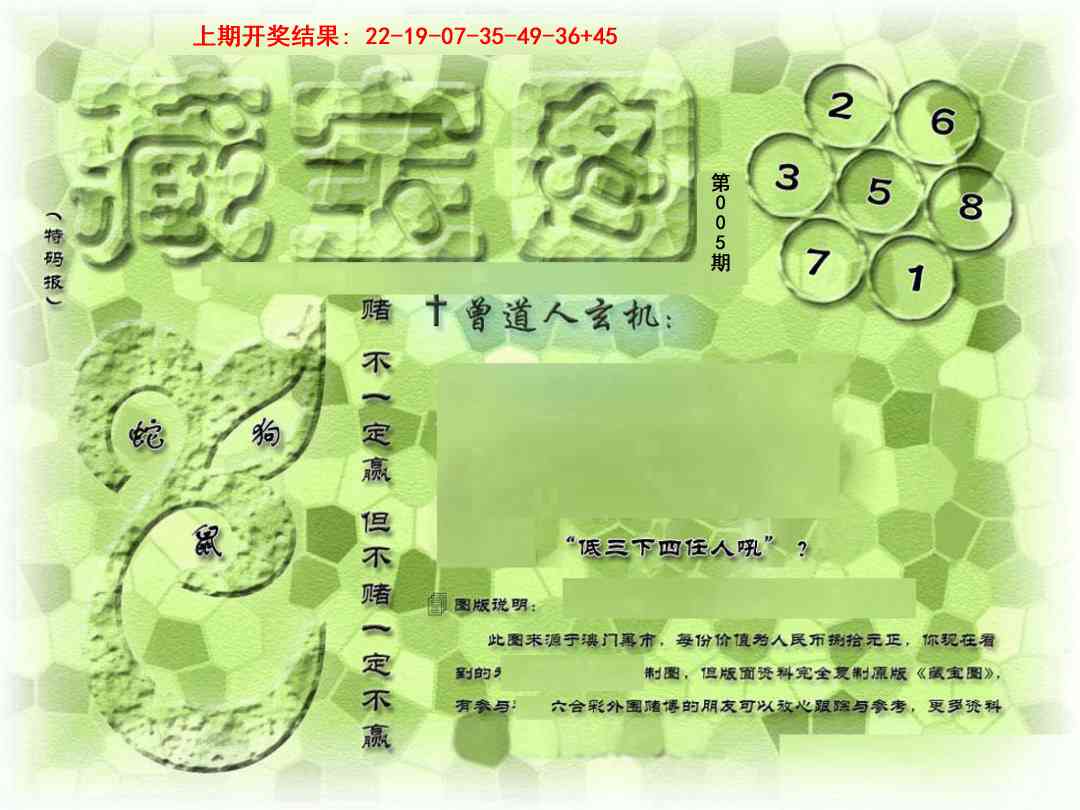 005期假新藏宝图[图]