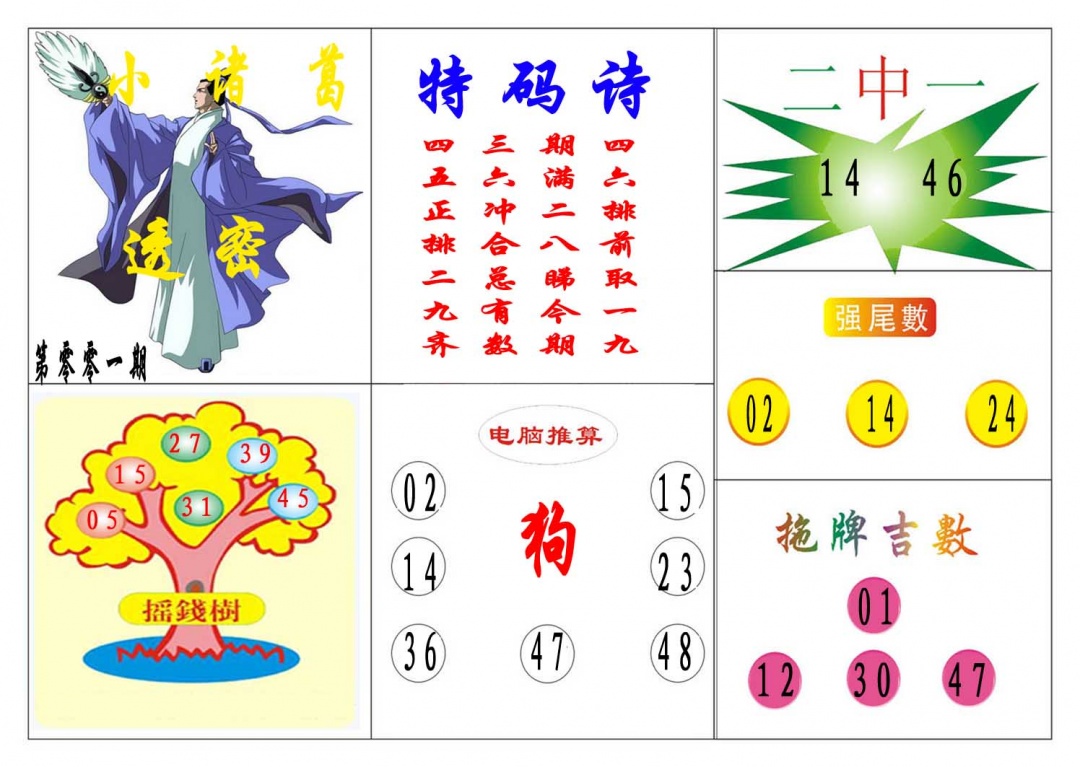 005期小诸葛[图]