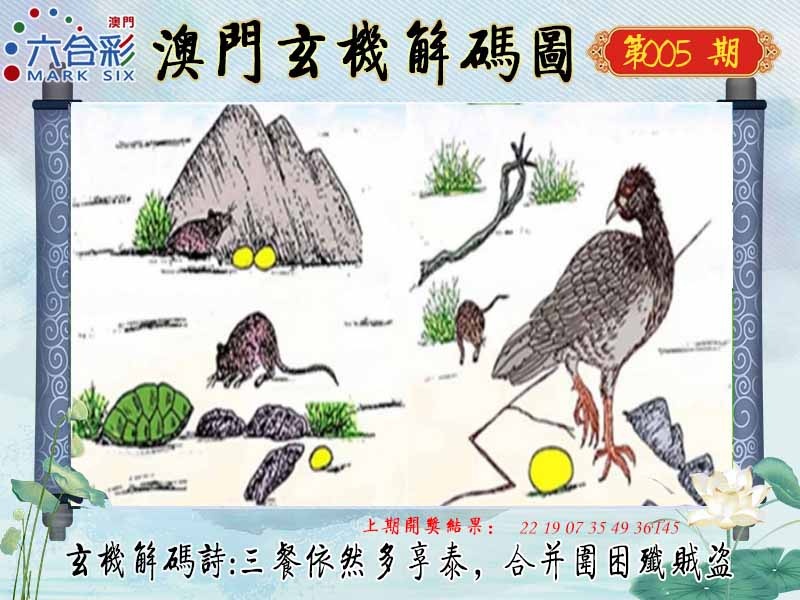 005期玄机解码图[图]
