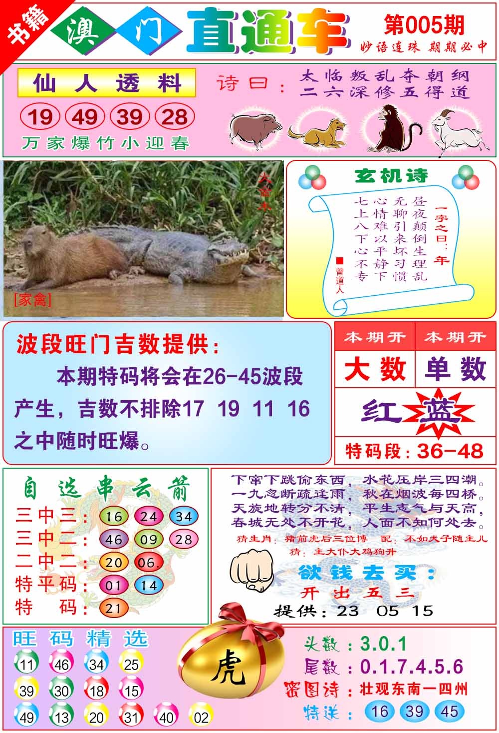 005期白姐直通车[图]