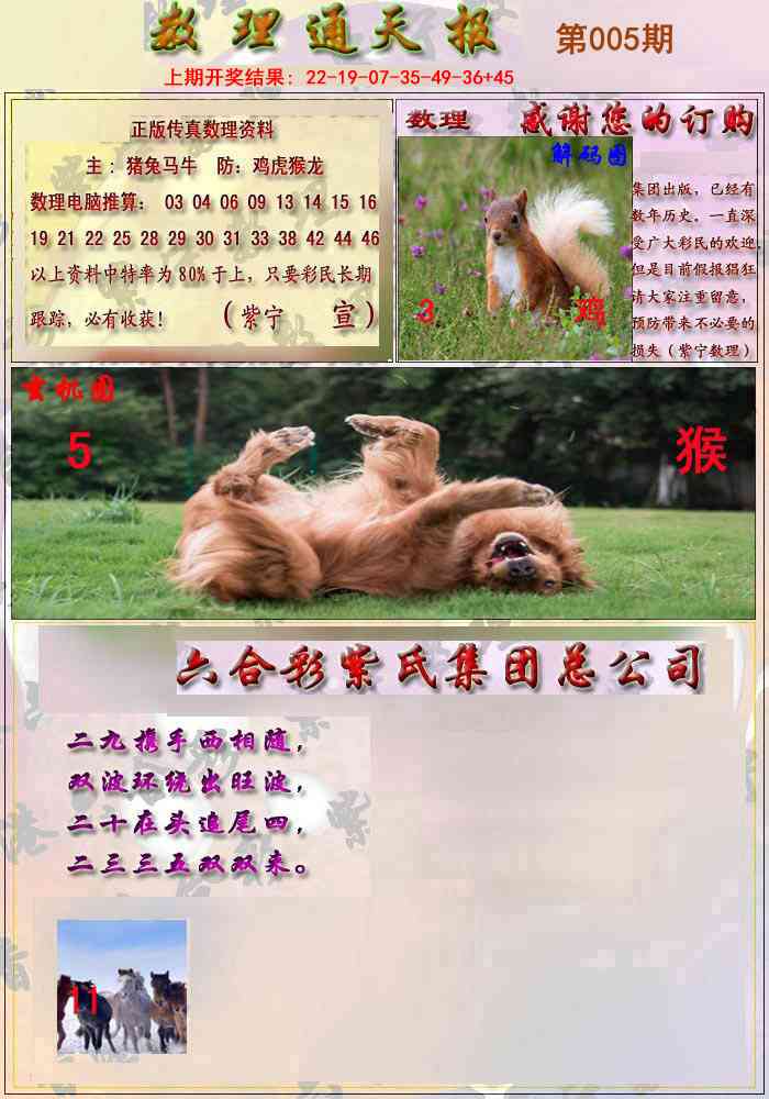 005期数通报[图]
