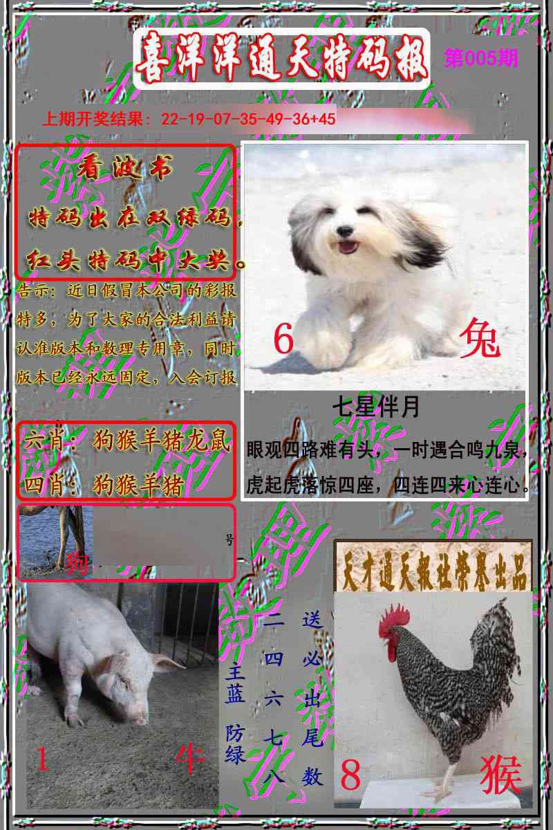 005期洋通报[图]