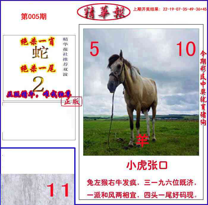 005期新精华报报[图]