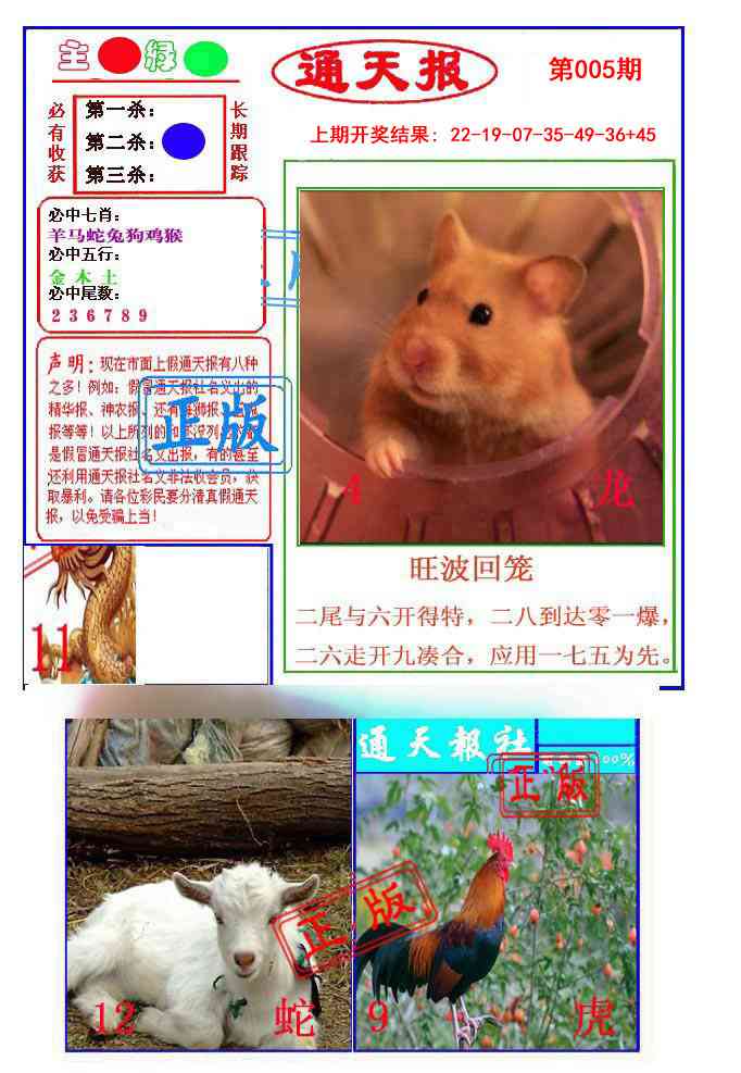 005期通天杀波图1[图]