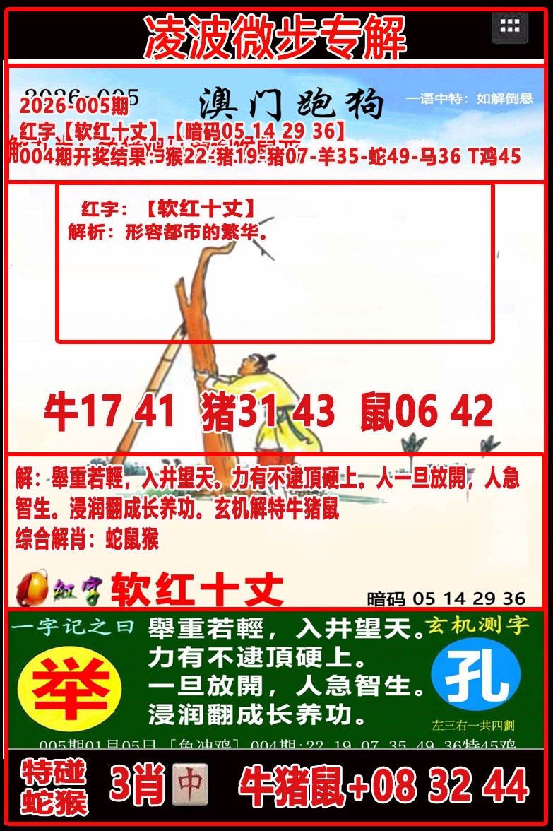 005期凌波微步[图]