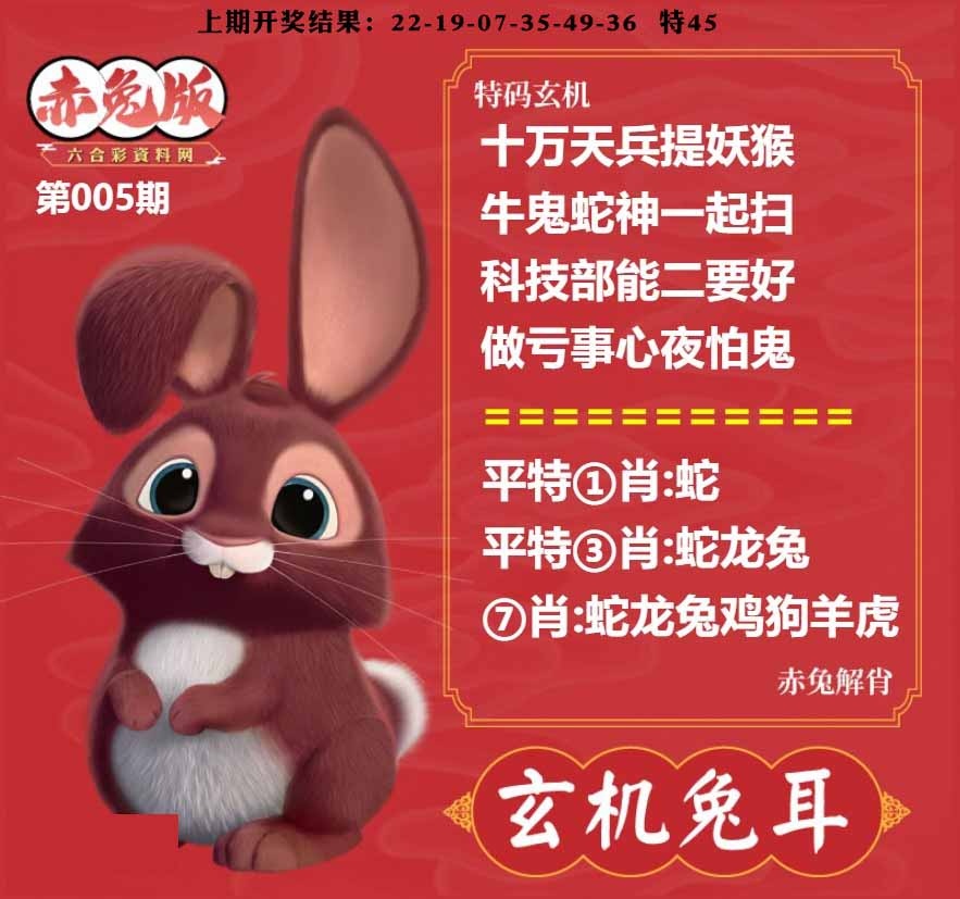 005期玄机兔耳[图]